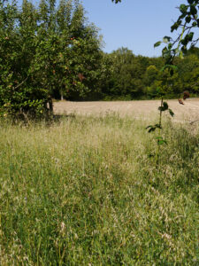 Blick aus dem Garten hinaus in die Landschaft.