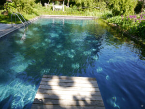 Wassergarten Meinhard