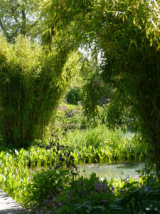 Wassergarten Meinhard