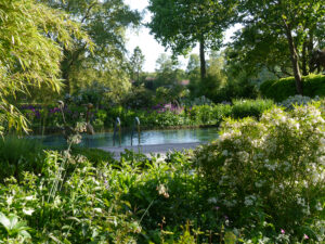 Wassergarten Meinhard