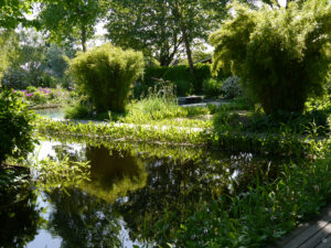 Wassergarten Meinhard