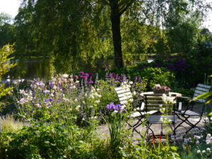 Im Wassergarten Meinhard