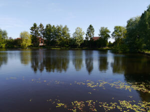 Im Wassergarten Meinhard