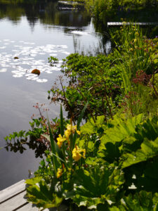 Das Ufer des großen Teichs im Wassergarten Meinhard