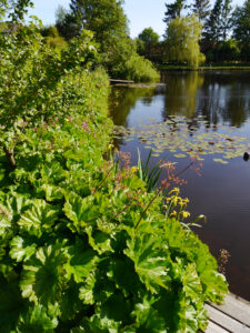 Das Ufer des großen Teichs im Wassergarten Meinhard