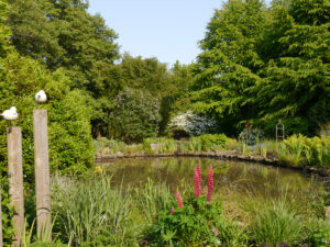 Der große Wassergarten der Gärtnerei Mühring