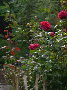 Im Lehrgarten Garten und Kunst Erna de Wolff