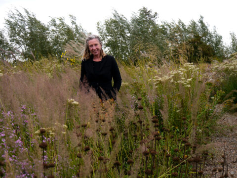 Lianne Pot‘s Siergrassen – Präriegarten in De Wilp