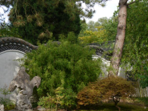 Im Hof der „Begrüßenden Düfte“ im chinesischen Garten des Hortus Groningen