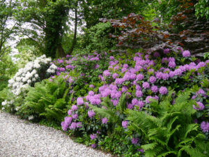 Eingangsbereich Naturgarten Jan Wilde een Tuin