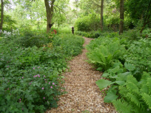 Naturgarten Jan Wilde een Tuin