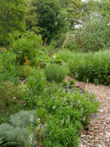Naturgarten Jan Wilde een Tuin