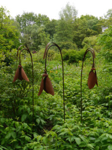 Naturgarten Jan Wilde een Tuin