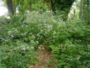 Naturgarten Jan Wilde een Tuin