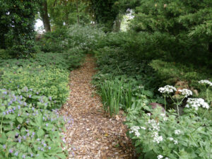 Naturgarten Jan Wilde een Tuin