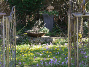Die Elfenwiese durch das Paradiestor in Wurzerlsgarten gesehen.