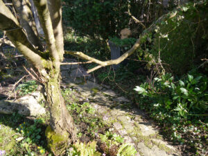 Gehölzschäden in Wurzerlsgarten