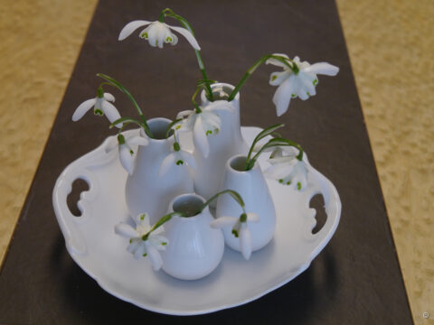 Schneeglöckchen-Dekoration im Wintergarten von Wurzerlsgarten