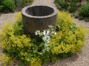 Im Schaugarten der Gärtnerei Augustin, Effeltrich