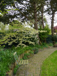 Der hintere Garten von Erika Meuthen, Peter Eilerts