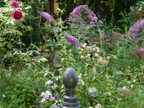 Wurzerlsgarten im Juli 2024, Mixed Border am Teich