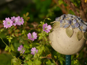 Geranium versicolor in Wurzerlsgarten