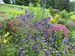 Im Staudengarten der Insel Mainau