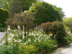 The Garden House in Yelwerton, Devon