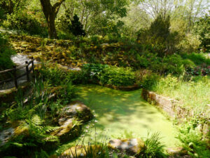 The Garden House in Yelwerton, Devon