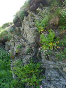Die Seitenwände verdeutlichen, wie schwierig ein Angriff auf die Burg Tintagel seinerzeit war.
