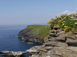 Auf der Steilklippe von Tintagel