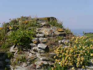 Mauerreste der der Burg Tintagel