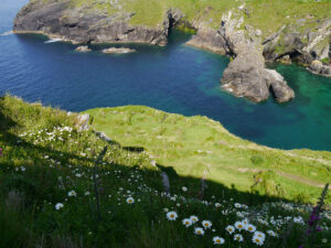 Blick die Steinküste hinab zum 200 m tiefer liegenden Meer in Tintagel 