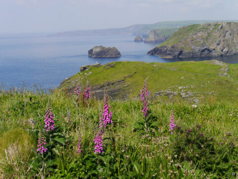 Tintagel, Cornwall, King Arthur und King Charles III.