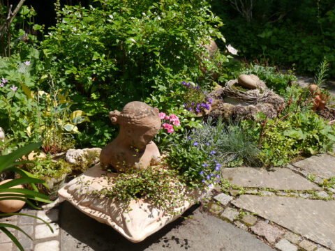 Das Terrakotta-Kissen im Toskana-Look in Wurzerlsgarten