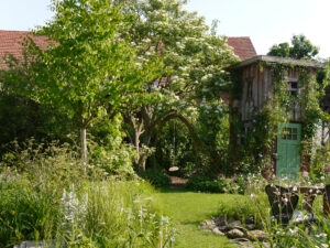 Klein aber oho ist der Garten von Jennifer Adam