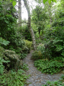 Im Schattengarten des Schaugartens Ulbrich