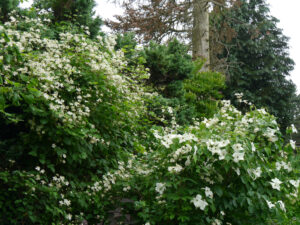 Der Sonnengarten im Schaugarten Ulbrich