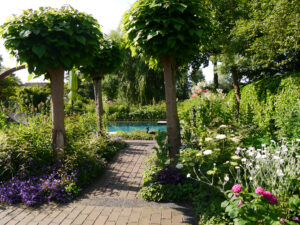 Der Wassergarten Meinhard
