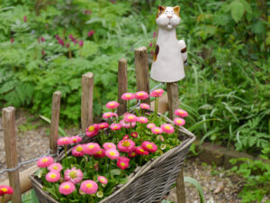 Eingang zum Kräutergarten, die kleine Gärtnerei im Grünen Haus