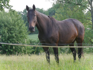 Die Nachbarn von Jörg Diebel