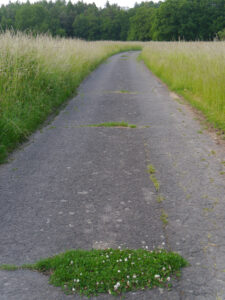 Feldweg zu Jörg Diebel