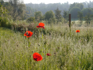 Hofauffahrt zu Jörg Diebel