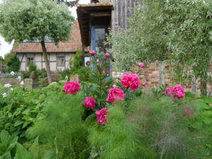Jörg Diebels Naturgarten am Vogelsberg, der Hofplatz
