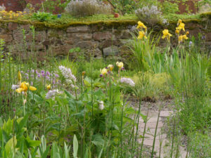 Jörg Diebels Naturgarten am Vogelsberg, im Kiesgarten