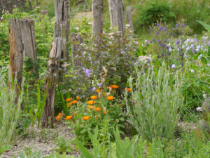 Jörg Diebels Naturgarten am Vogelsberg, im Kiesgarten