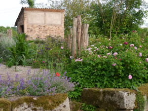 Jörg Diebels Naturgarten am Vogelsberg, Rosen rund um den Kiesgarten