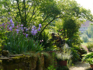 Jörg Diebels Naturgarten am Vogelsberg, der Aufgang am Mauerbeet