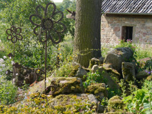 Jörg Diebels Naturgarten am Vogelsberg, die Stumpery und der Steingarten