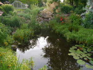 Jörg Diebels Naturgarten am Vogelsberg, der Teich